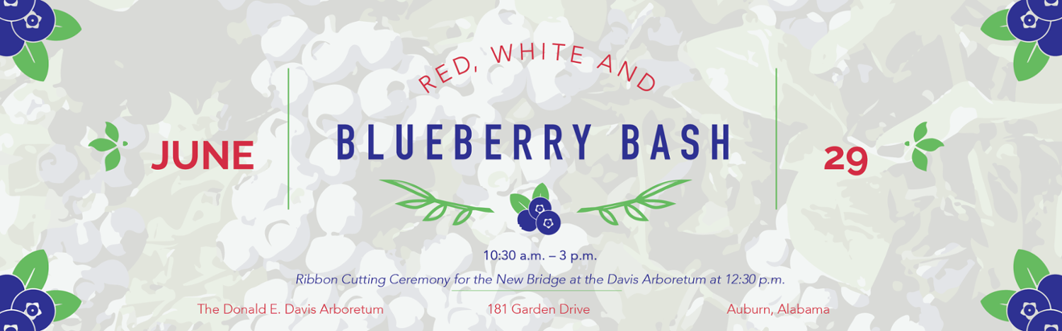 Red, White and Blueberry Bash