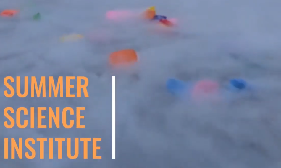 Applications are Open for the 2020 Summer Science Institute!