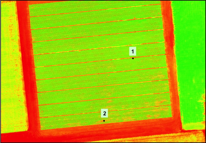 An infrared image of a field.