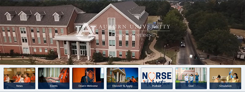 A screenshot of the school of nursing website