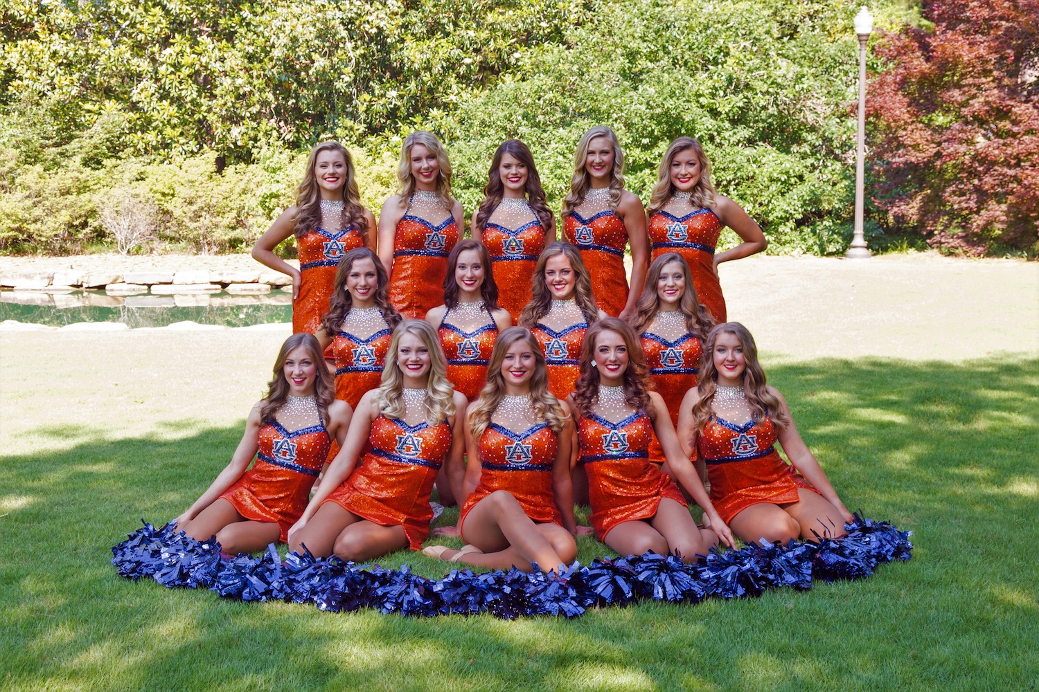 Tiger Eyes Visual Ensemble Marching Band Ensembles Auburn