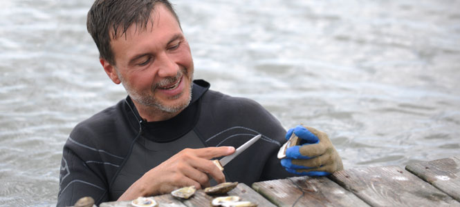 Enhancing the Value of Gulf Oysters