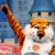 Aubie wins again