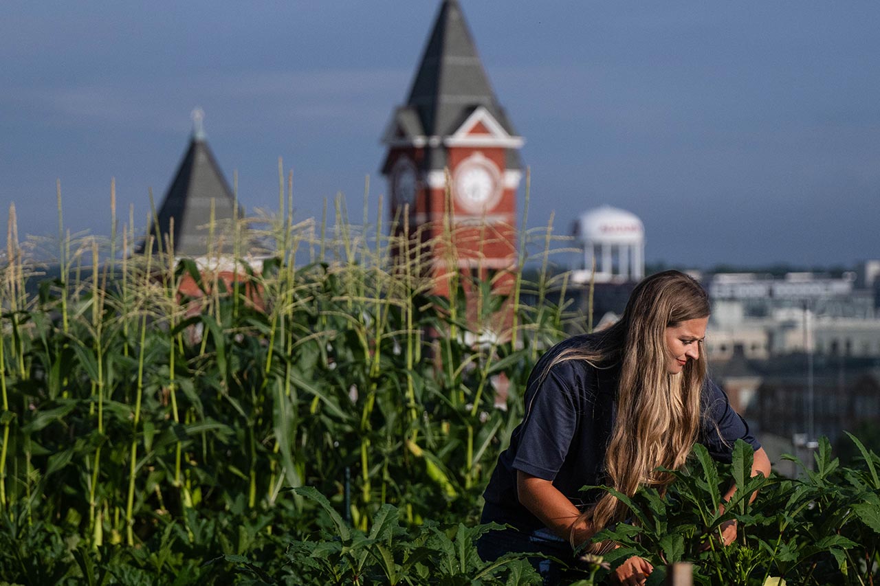 College of Agriculture