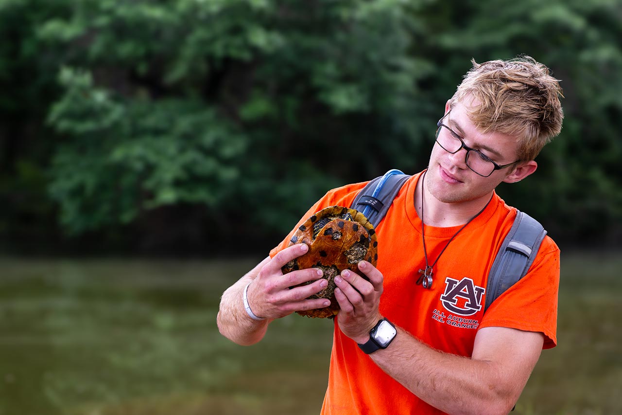 College of Forestry student