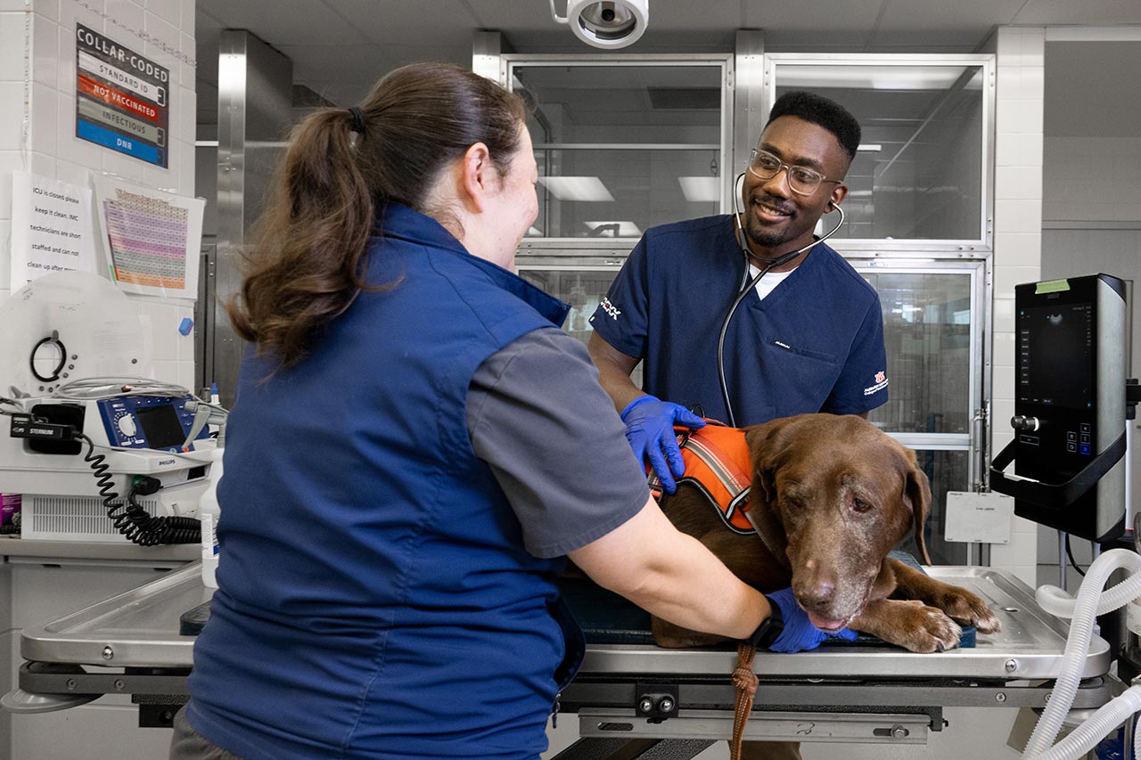 College of Veterinary Medicine