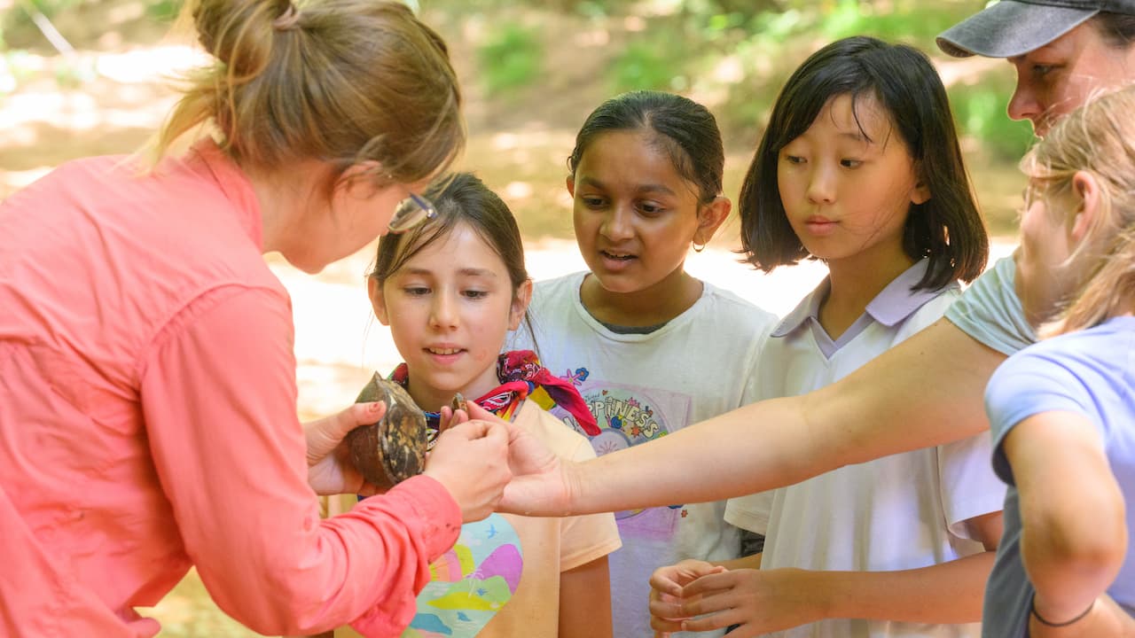 students gathered looking at a turtle that a woman is holding 