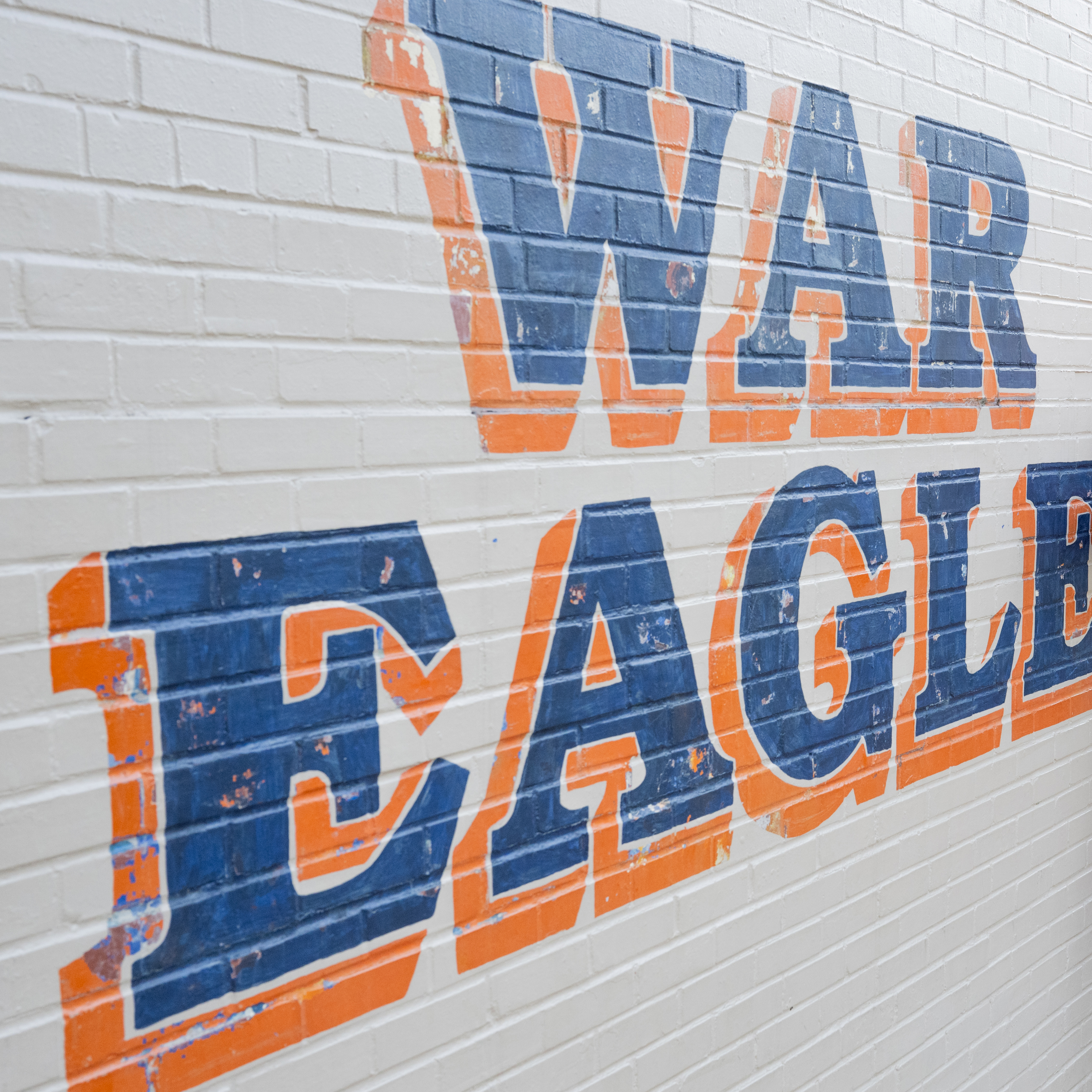 War Eagle wall mural
