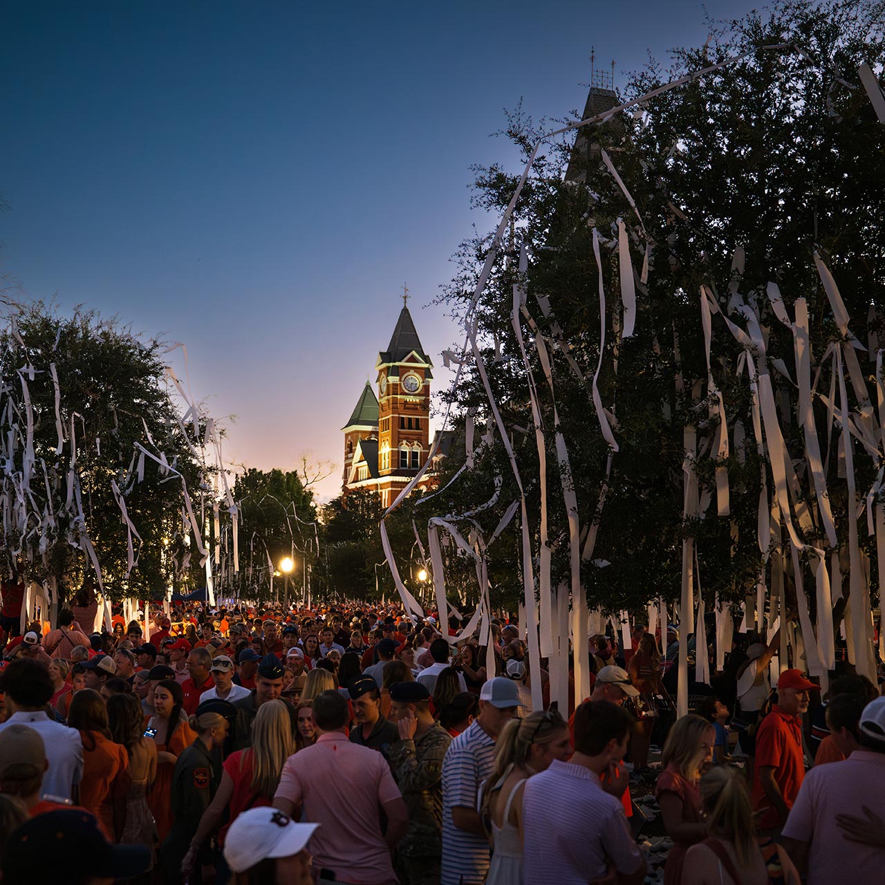 Rolling toilet paper in trees