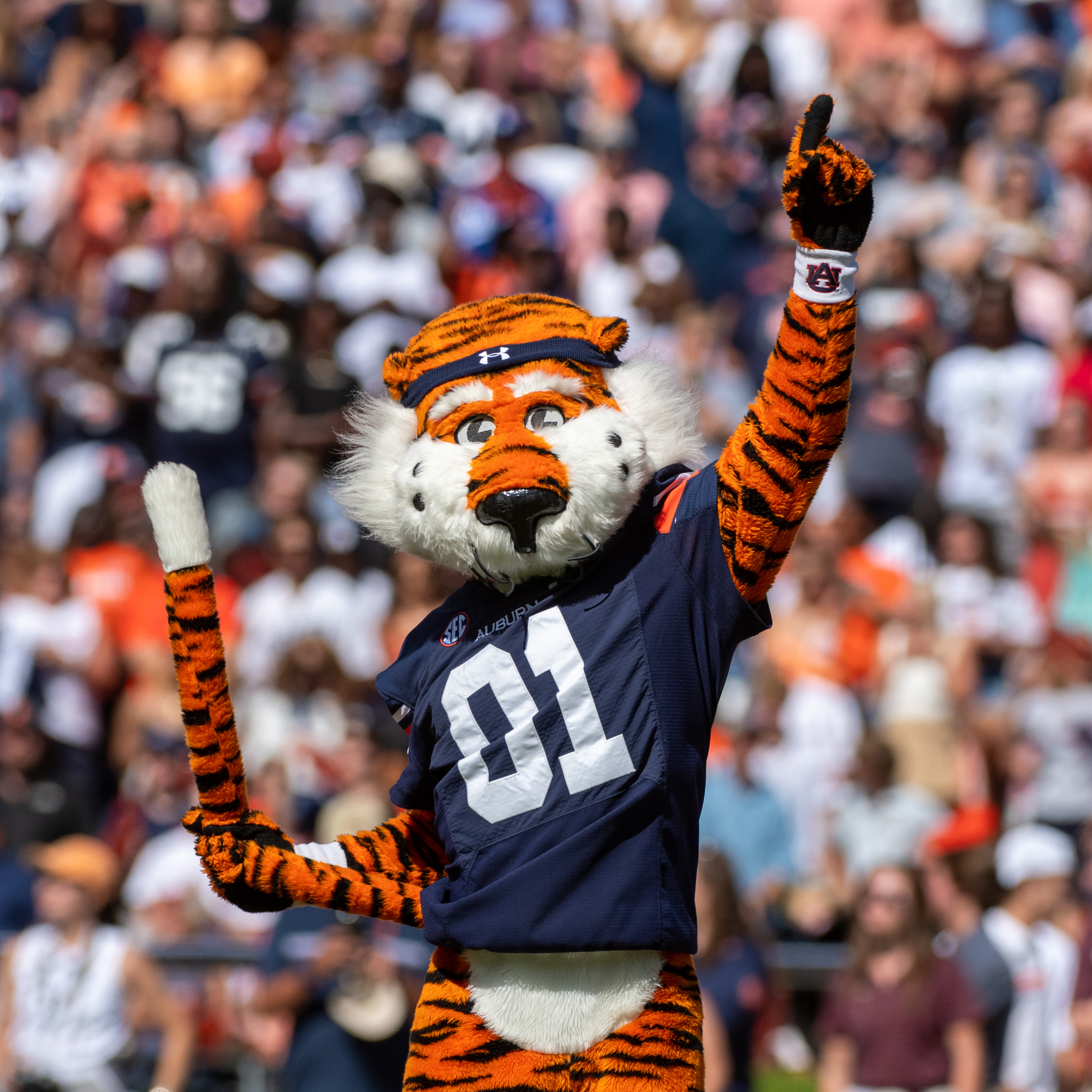 Aubie the Tiger