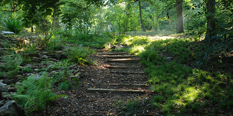 A view of a walking trail