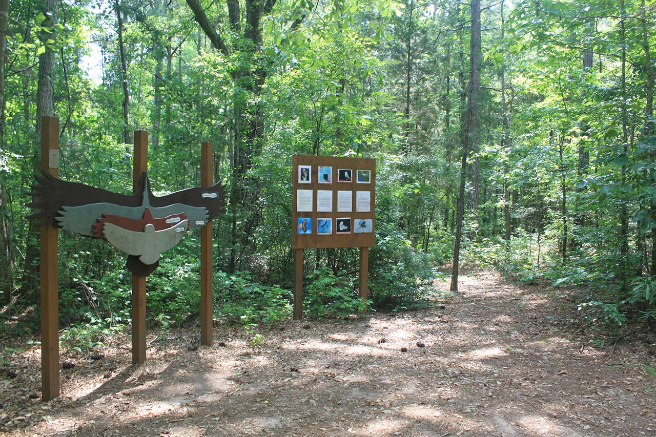 A wooden board with information and pictures tells visitors of the trails.