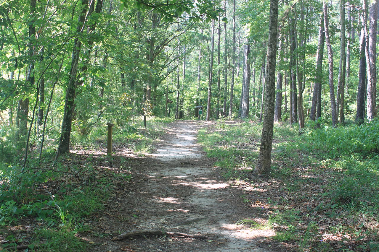 One of the many trails in the woods at the preserve is shown
