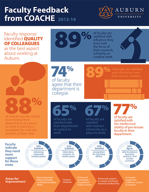 COACHE 2013 Faculty Feedback Summary