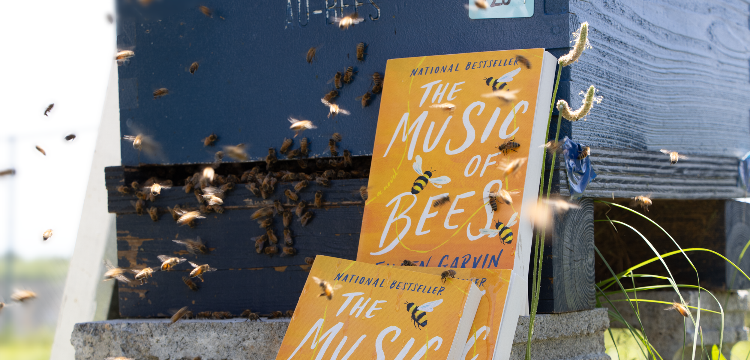 The Music of Bees by Eileen Garvin