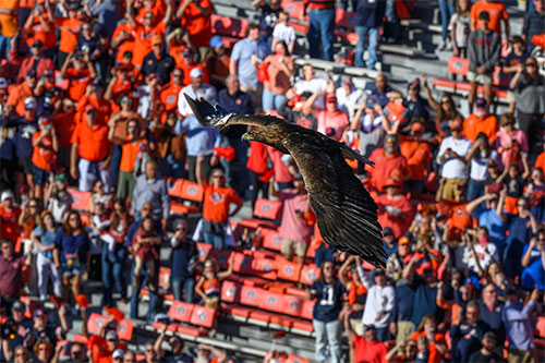 Flight of the Eagle