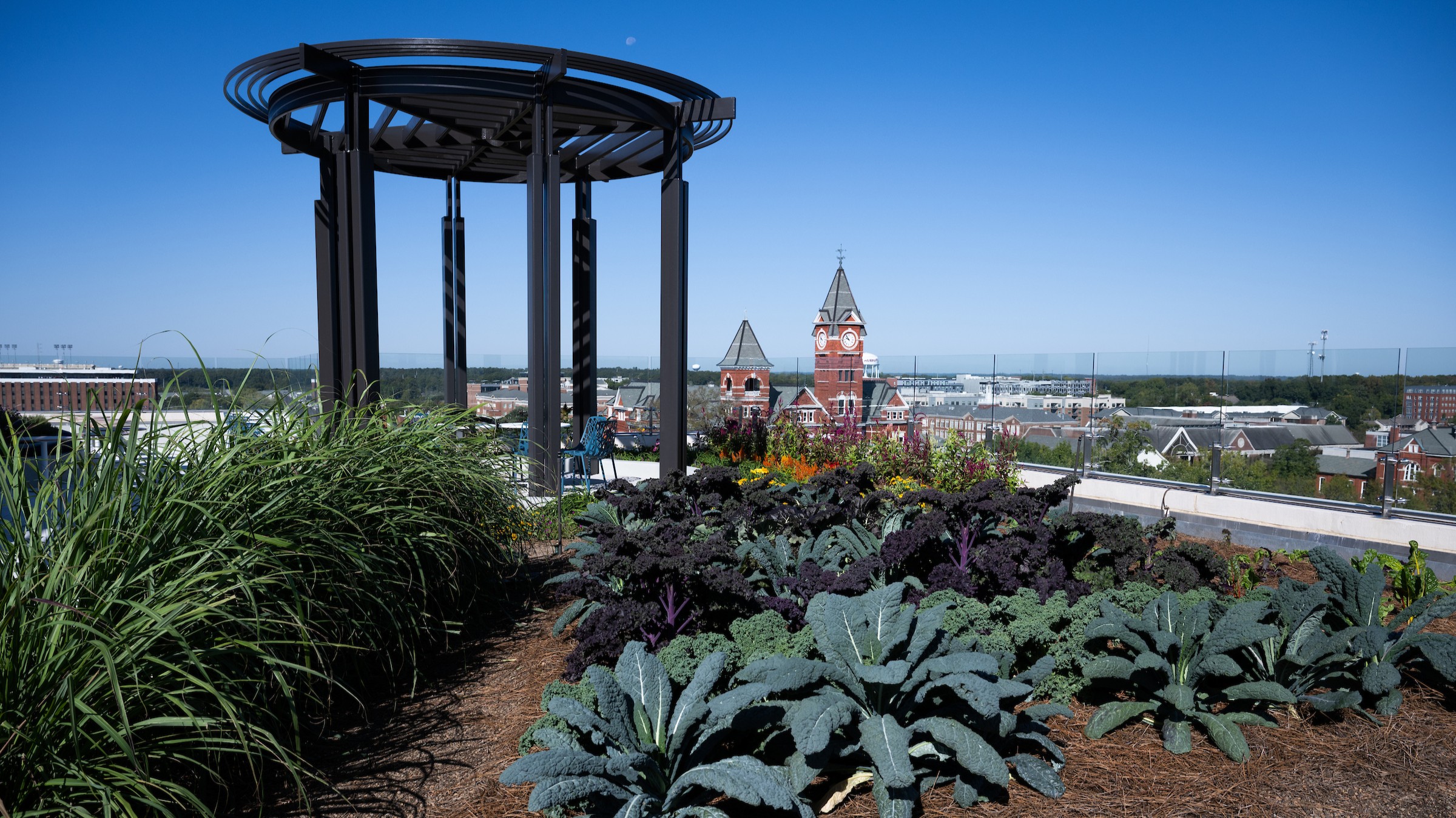 view of Samford Hall from Rane Center rooftop