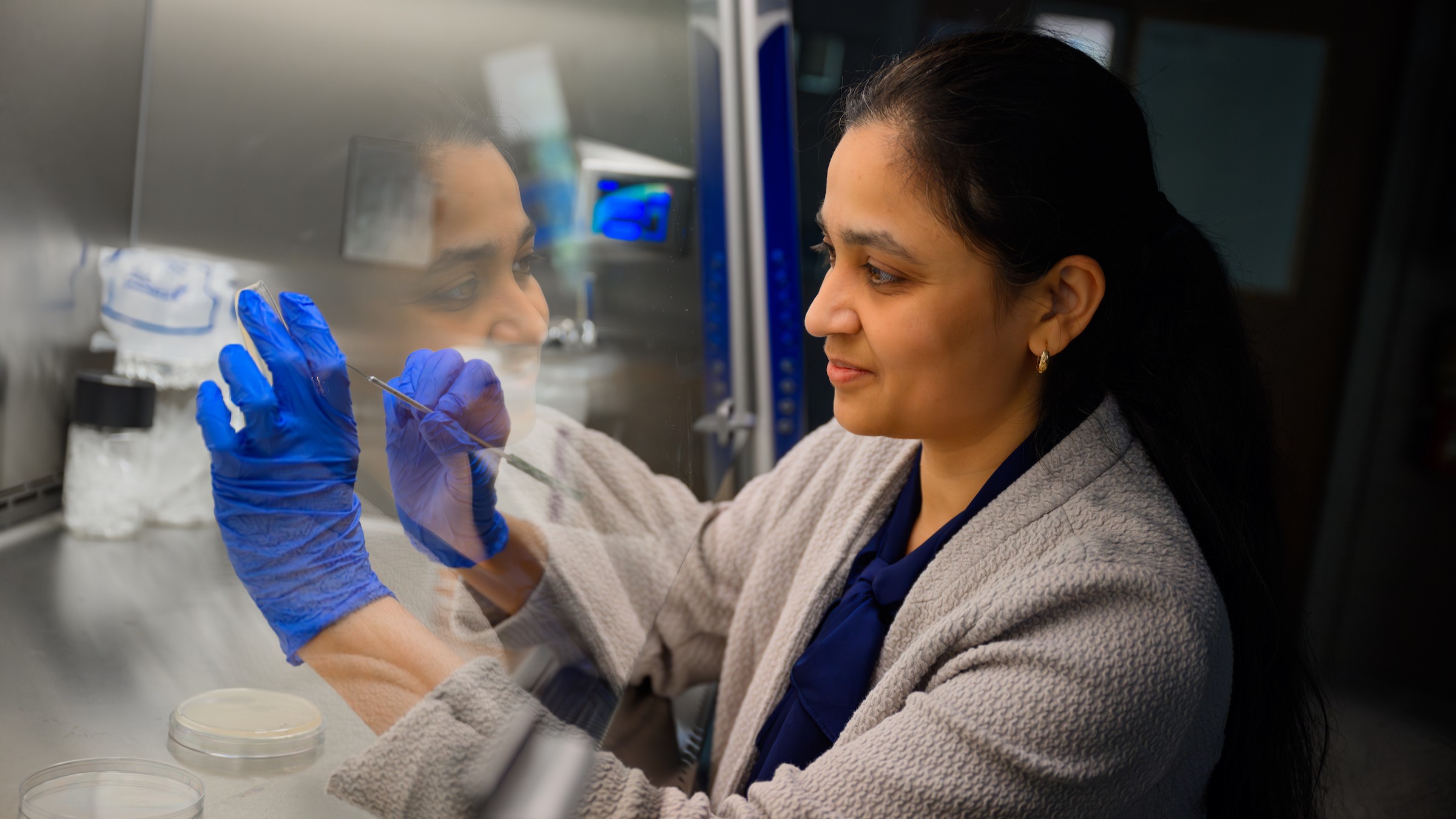 researcher in a lab looking at a petri dish