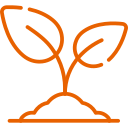 orange icon of a growing plant