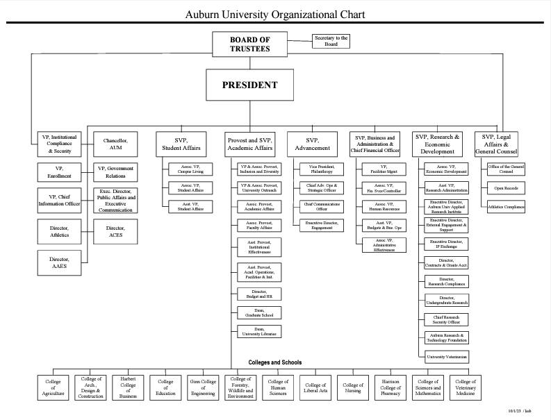 goes to organizational chart