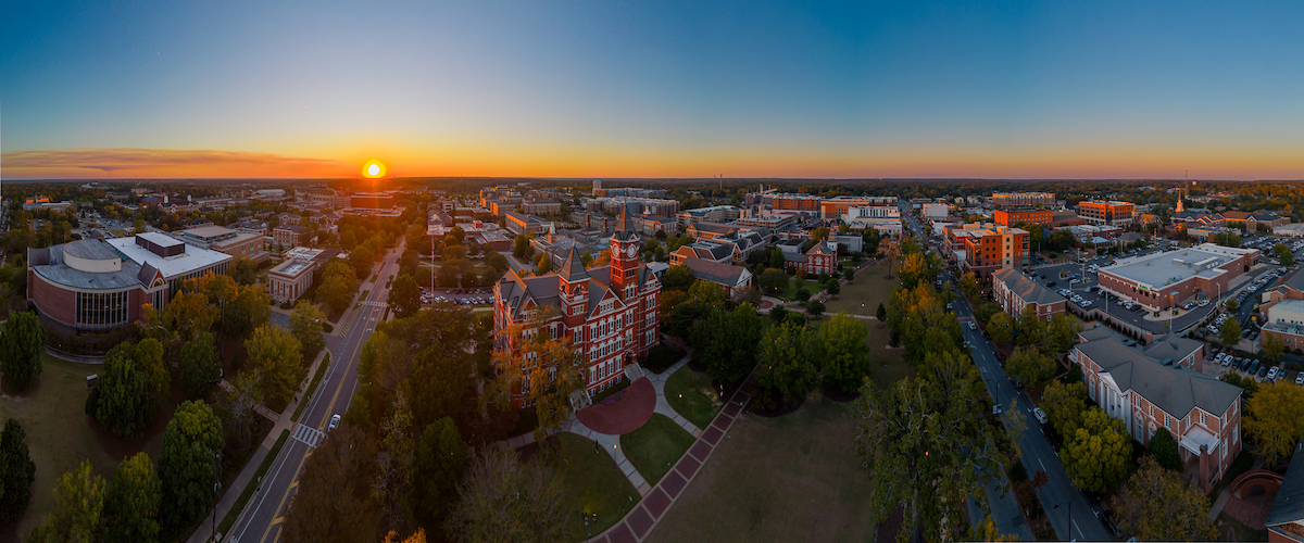 Aerial view of campus