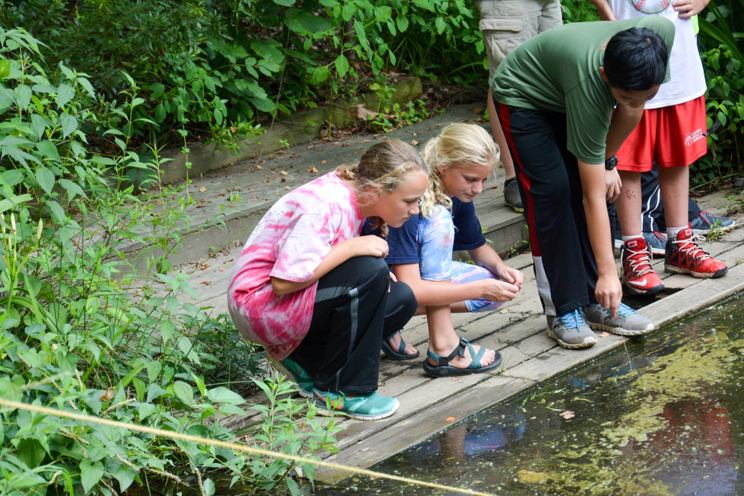 Children looking at the water