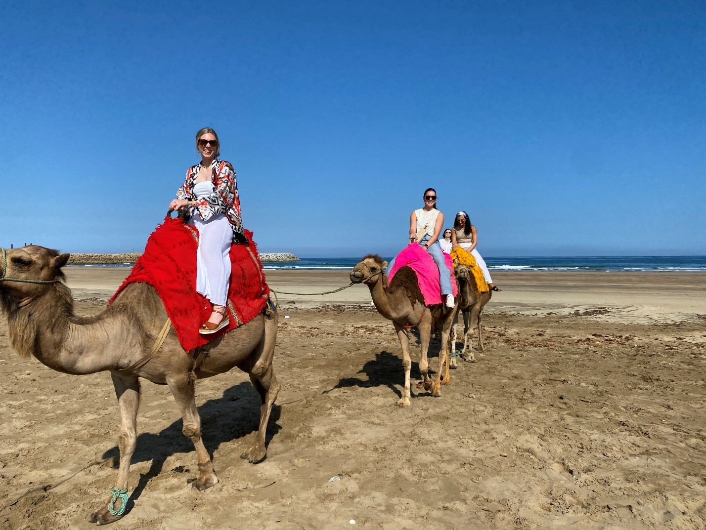 students on camels