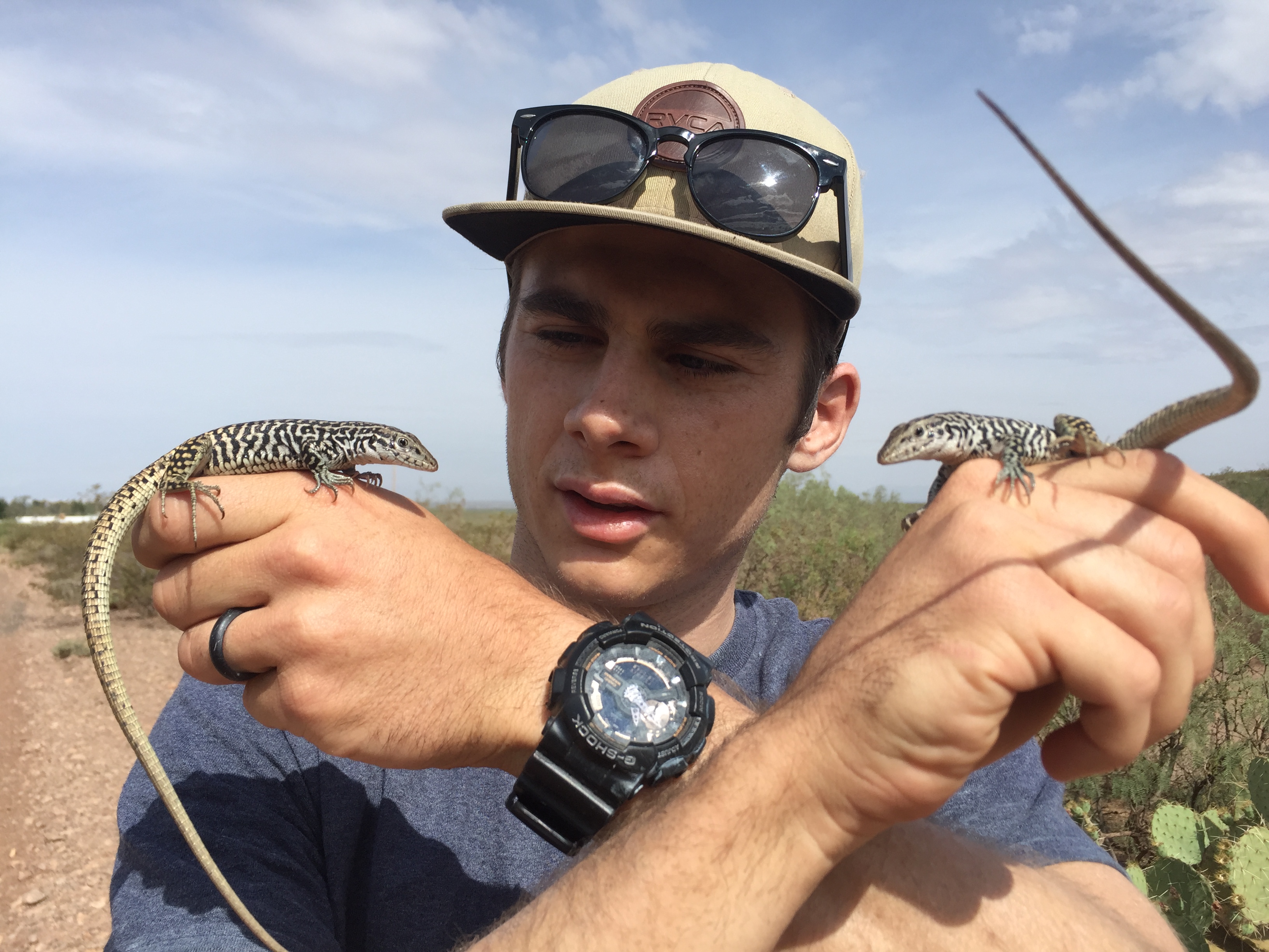 Auburn Student Honored with Research Award on Reptile Study
