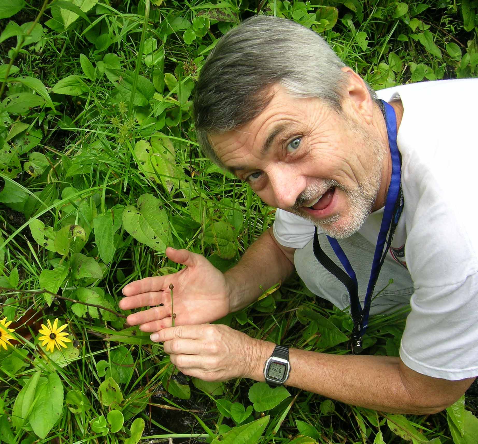 Boyd in the field examining Tennessee Yellow-Eyed grass. 