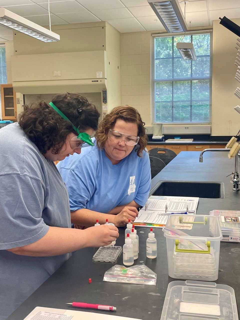 Teachers investigate the solubility and reactivity of the alkaline earth metals as part of Dewayne Riddle’s chemistry lab examining periodic trends for high school chemistry.
