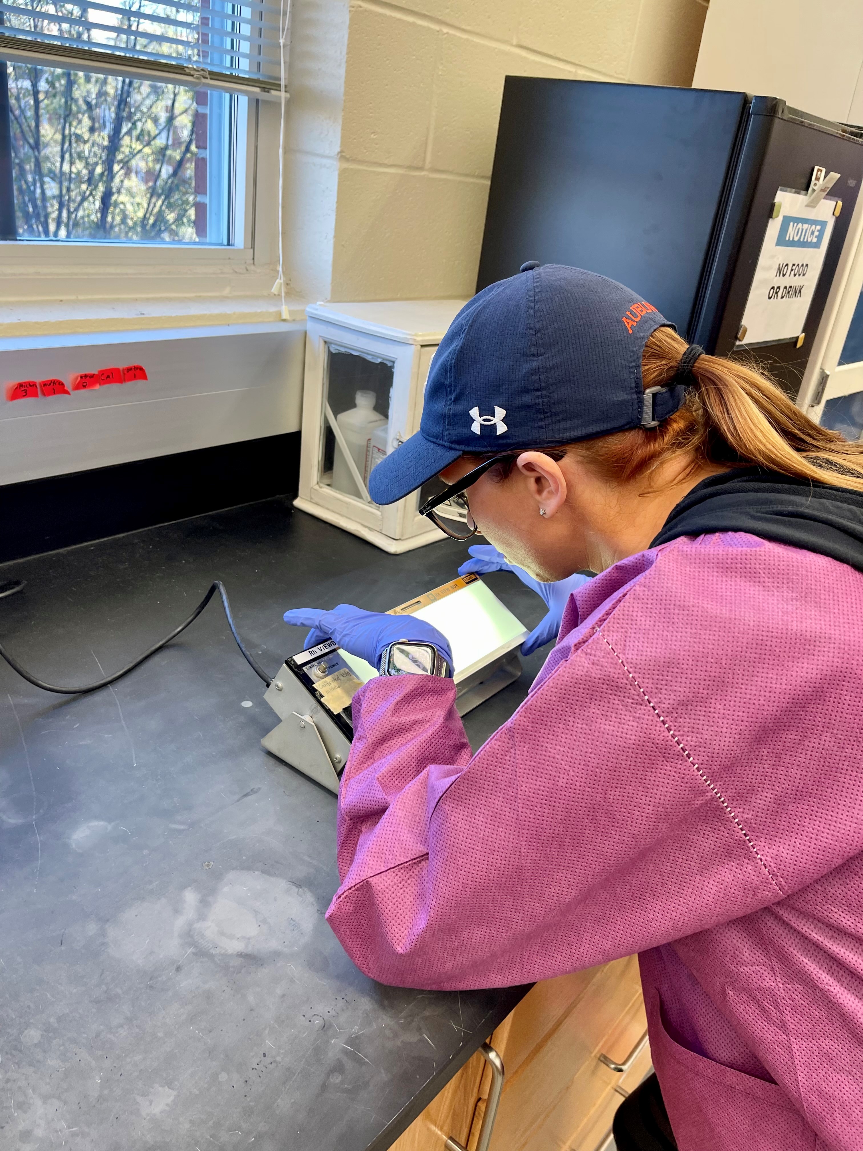 Sarah Chaplain looks at the sample under a light to determine if it is positive or negative.