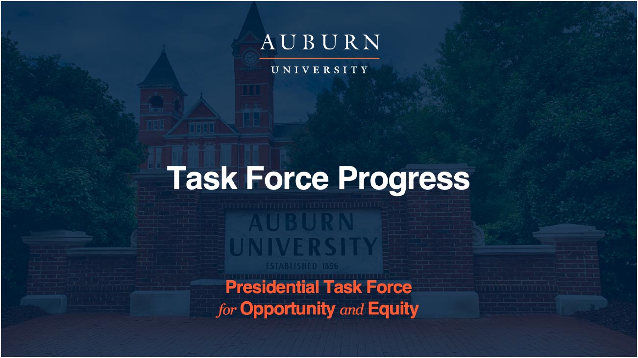 Task Force Progress