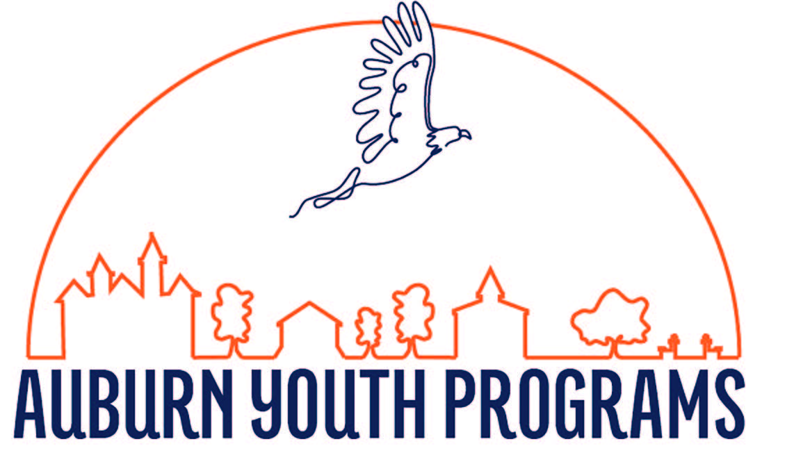 Auburn Youth Programs line art logo with eagle over skyline