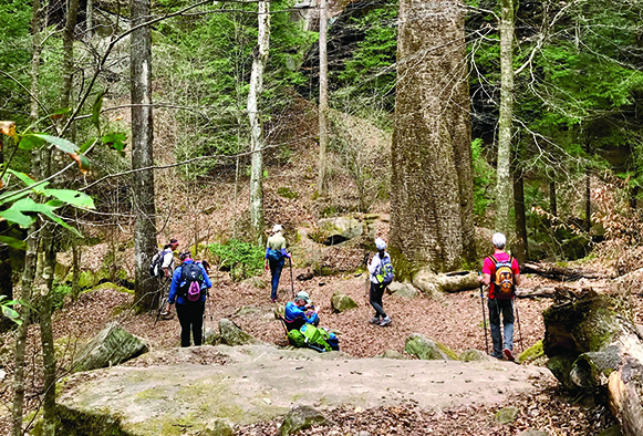 OLLI participants hiking