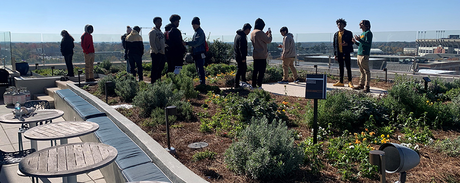 A group of male and female students explore a garden