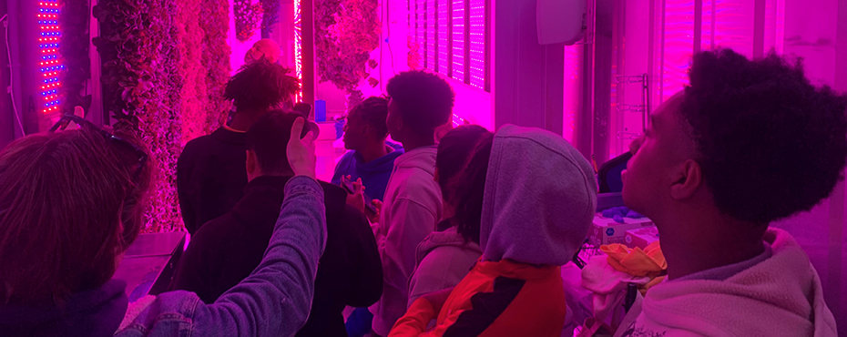 A group of male and female students stand inside a vertical tower garden to learn more about plants