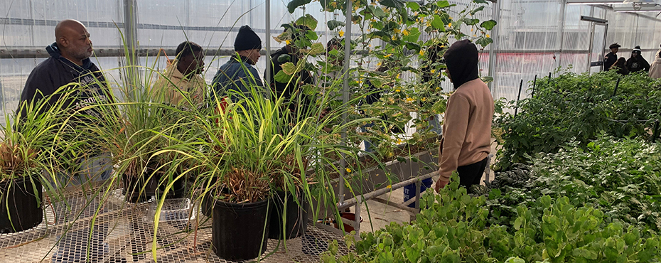 A group of male and female students tour a greenhouse