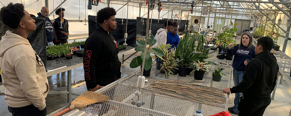 A group of male and female students tour a green house