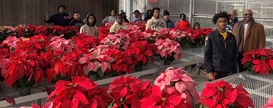 A group of male and female students and teachers stand in a poinsettia greenhouse garden 