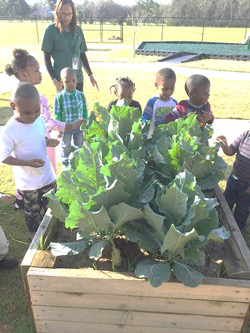 Young children gather around raised garden during the Head Start garden project.