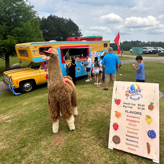 Coco’s Snow Cones