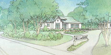 Architectural rendering of a white building surrounded by trees with a driveway and sign, OLLI at Auburn