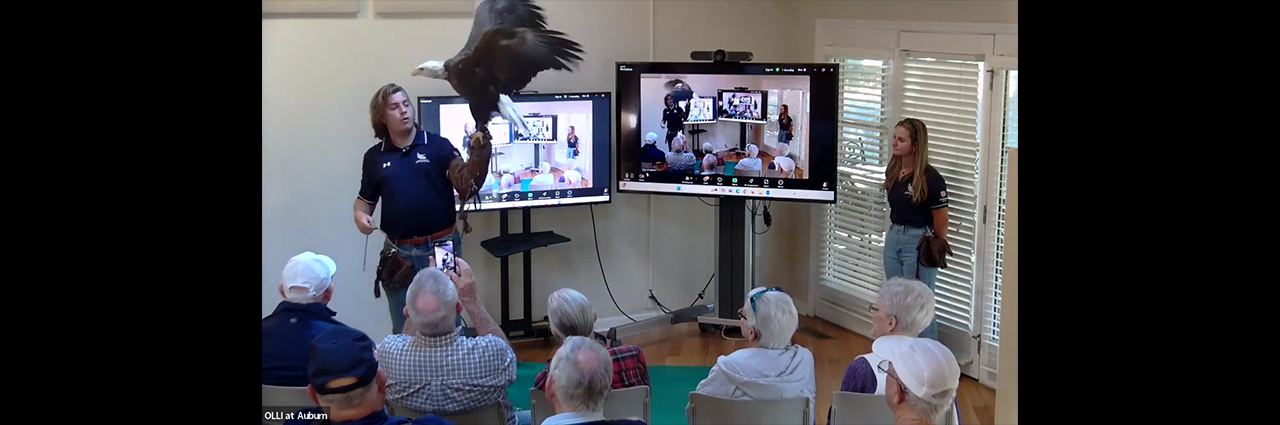 OLLI members enjoyed meeting Spirit, the bald eagle, when trainers from the Auburn University Raptor Center brought him to the Local Naturalists class.