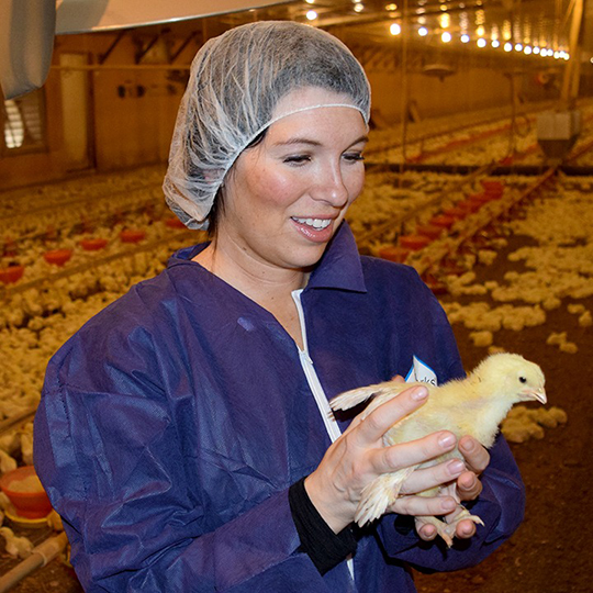 Girl holding a baby chick inside the breeding facility