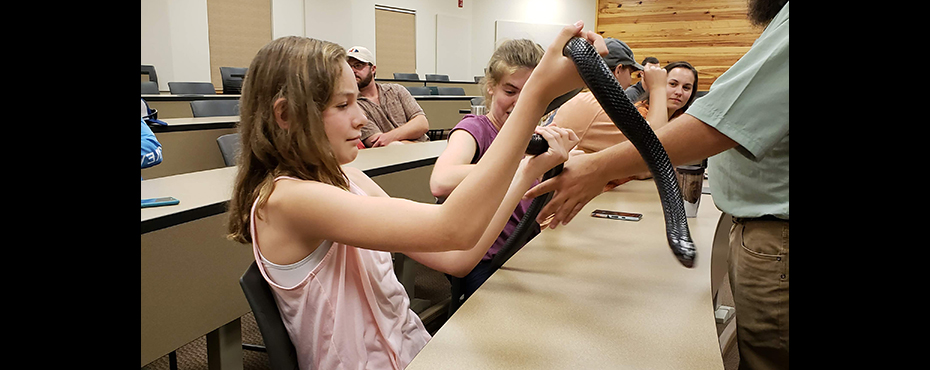 Girl handles a black snake. 