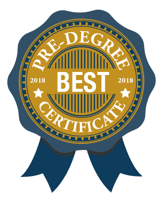 Blue and gold award icon with text: Best Pre-Degree Certificate 2018