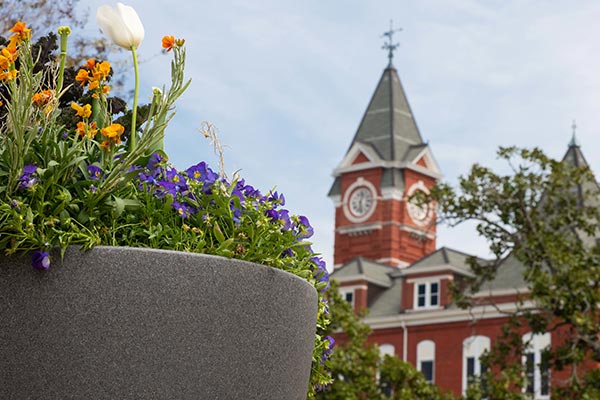 A rear view of Samford Hall