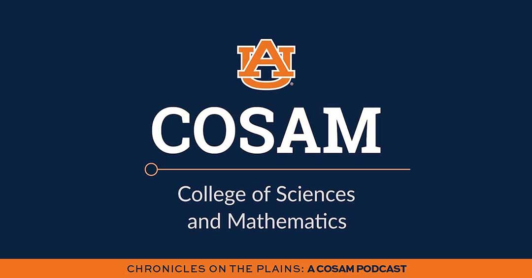 Chronicles on the Plains image