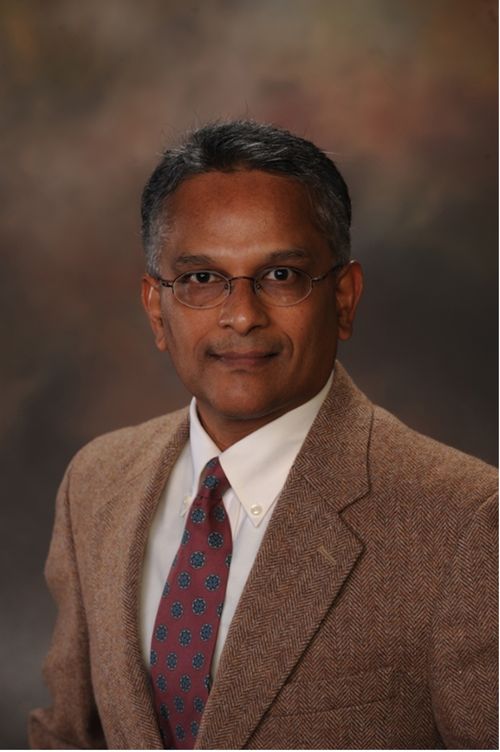 Headshot photo of Hari Narayanan